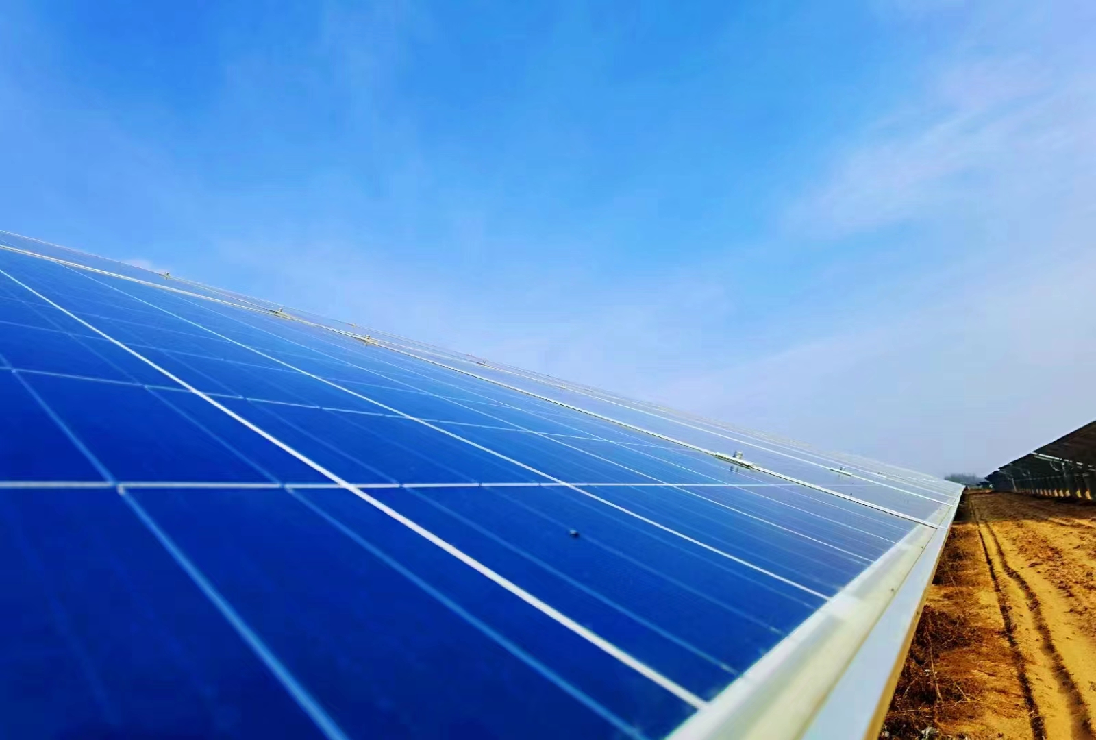 向陽(yáng)而行 賦能未來.jpg